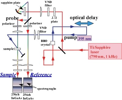 Fig. 2